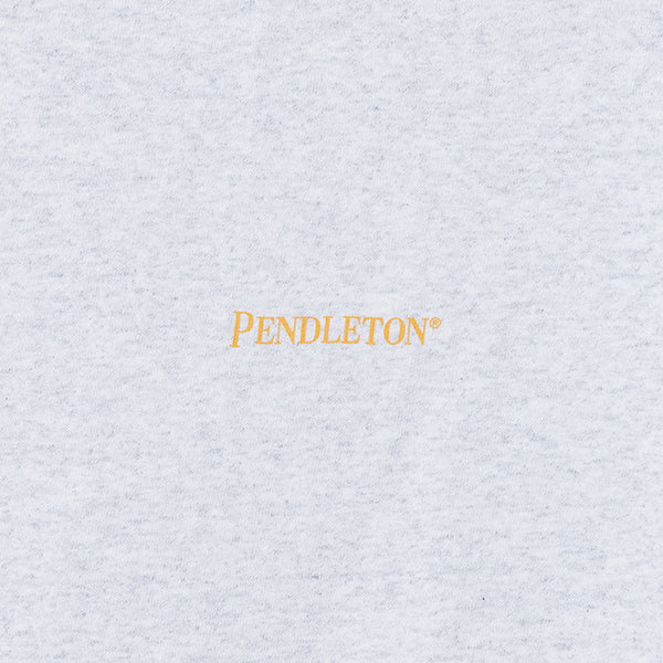 PENDLETON ペンドルトン ウィメンズ ショートスリーブ バックプリントTシャツ XS 2color
