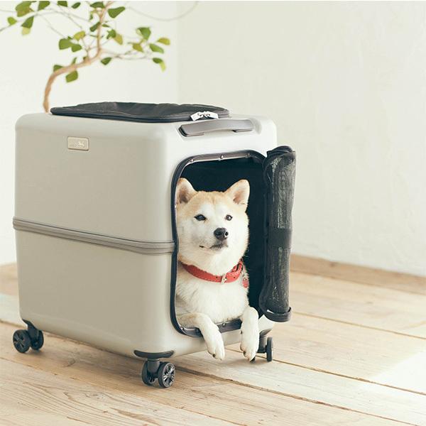 Legend Walker レジェンドウォーカー ペットキャリー 犬 猫 防災 PETiCO PET CARRY iCO 3001-M 5colar