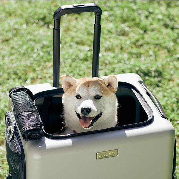 LEGEND WALKER レジェンドウォーカー ペットキャリー 犬 猫 防災 PETiCO PET CARRY iCO 3001-L 80L 5colar