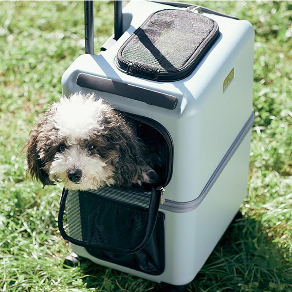 LEGEND WALKER レジェンドウォーカー ペットキャリー 犬 猫 防災 PETiCO PET CARRY iCO 3001-L 80L 5colar