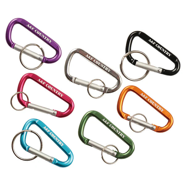 A&F エイアンドエフ ODequipment オールパーパスカラビナ L 4color